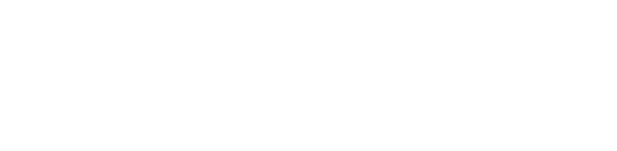 PITO kattopollari logo_WHITE