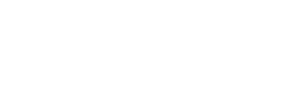 PITO logo valkoinen