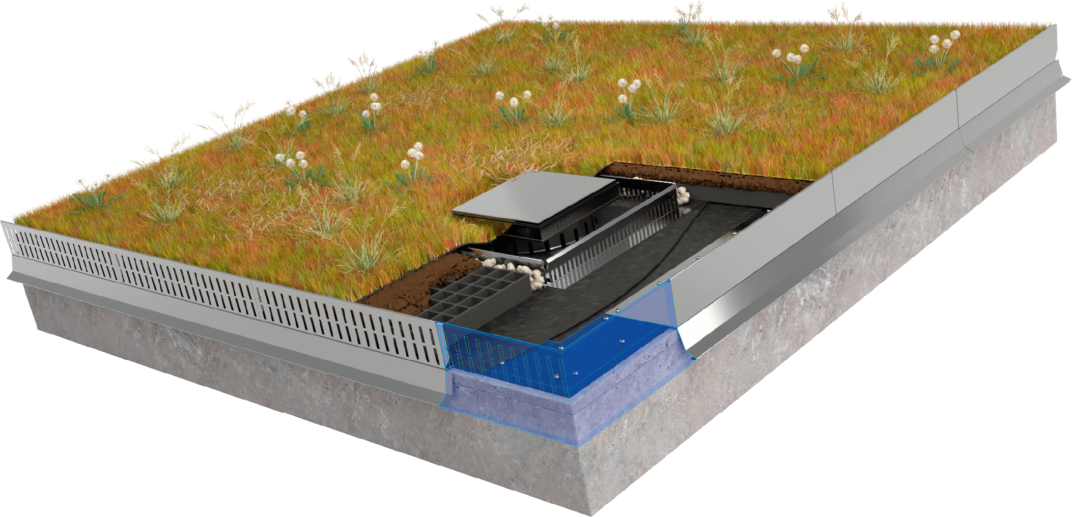 Peltitarvike viherkattolista