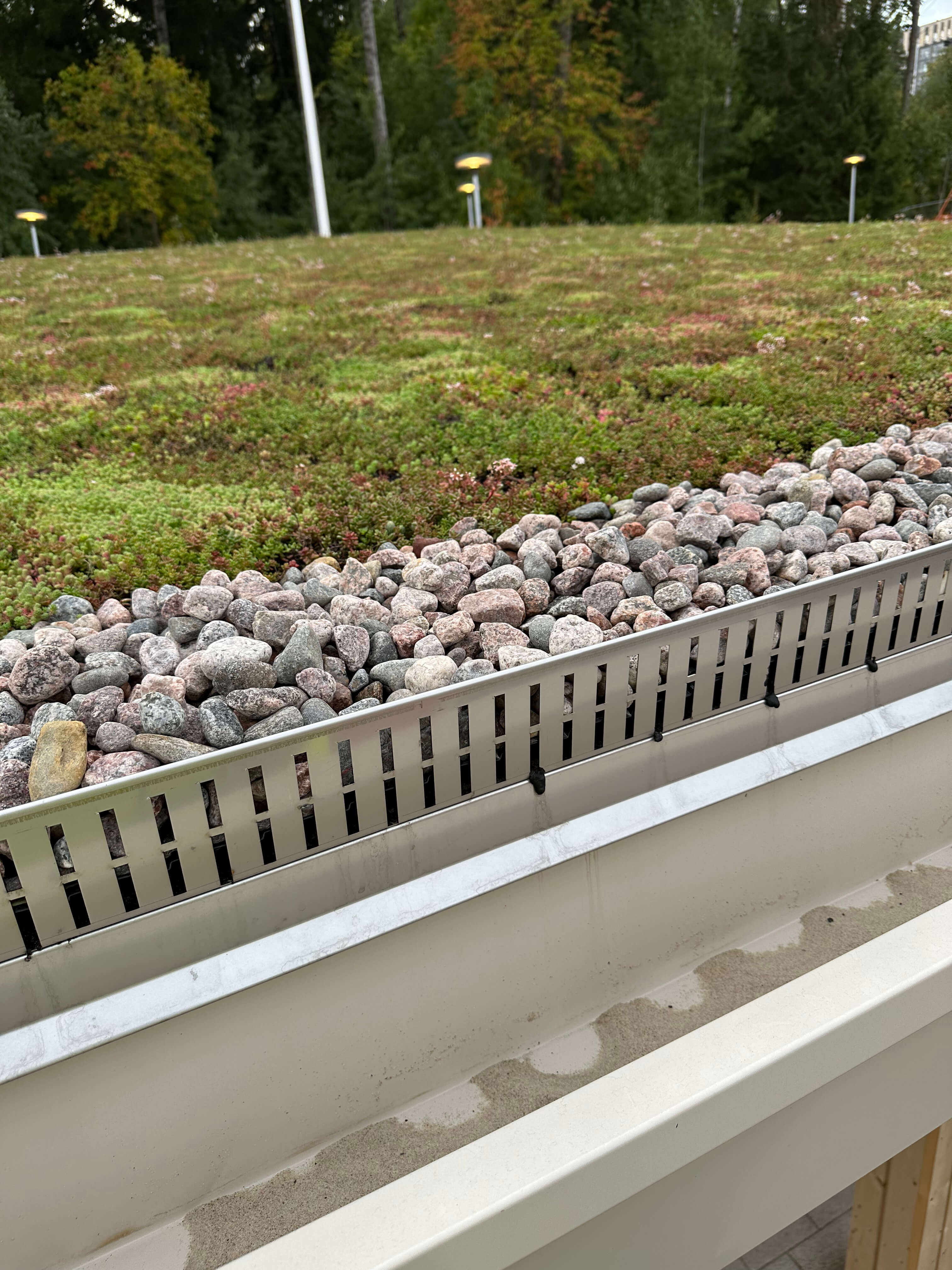 Tähystäjän päiväkoti viherkattolista