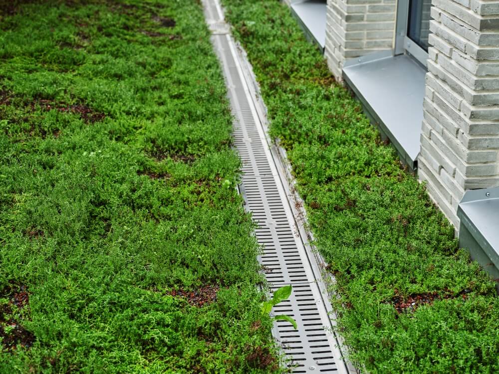 Åbo Akademi Astra-kampus viherkaton linjakuivatuskourut