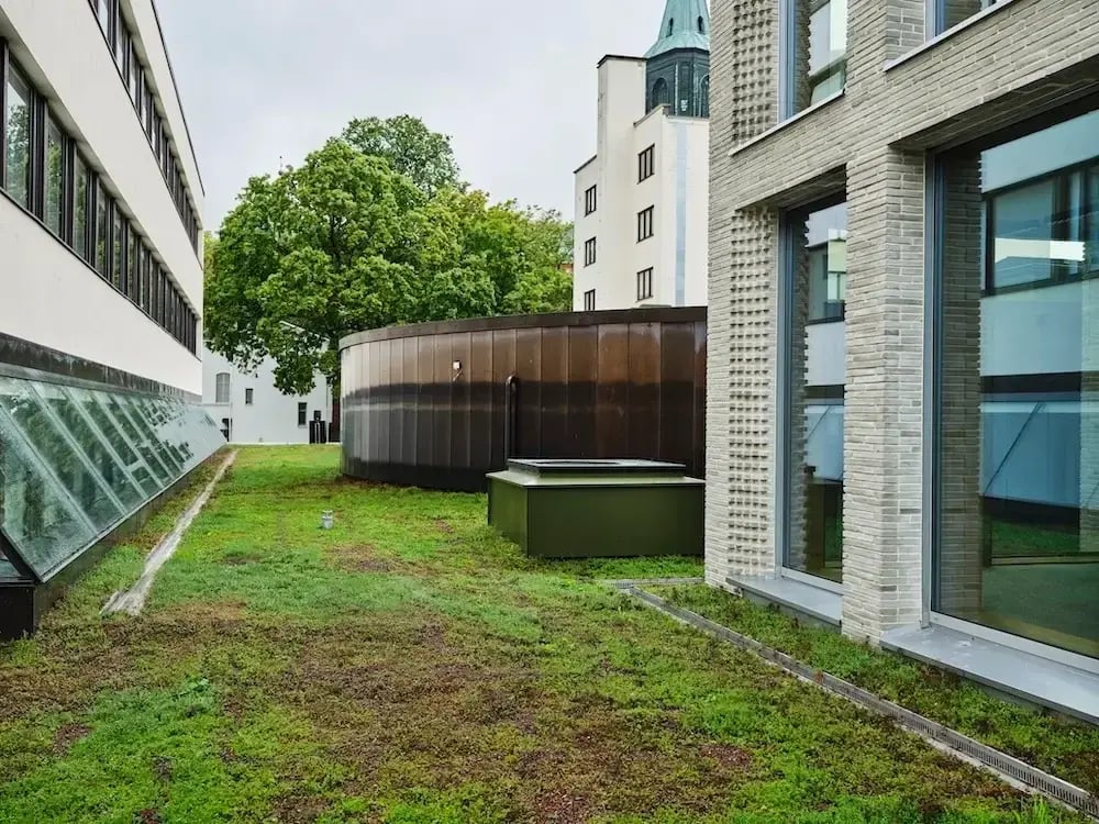 Åbo Akademi Astra-kampus viherkaton linjakuivatuskourut