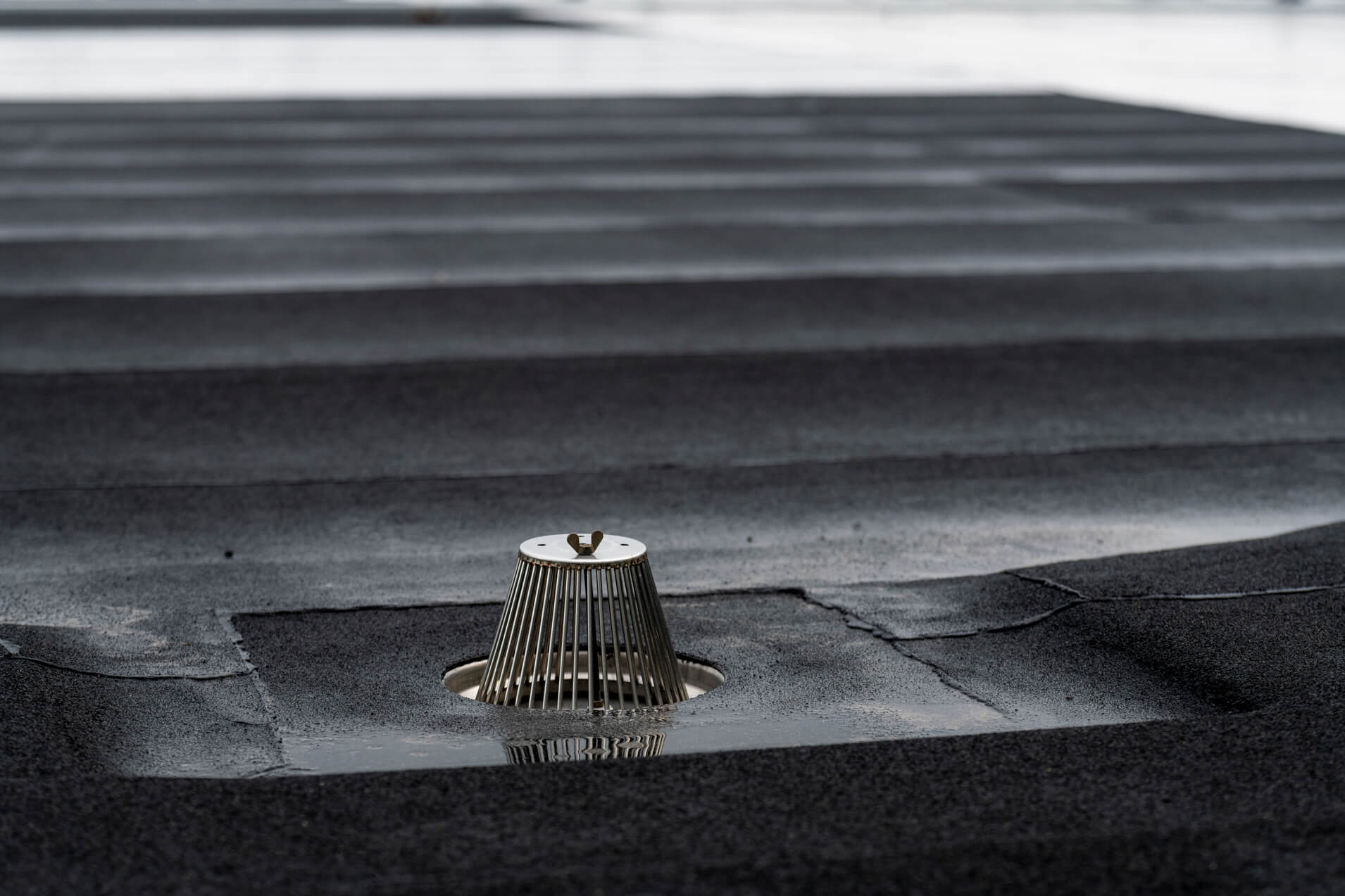 Peltitarvike roof drain