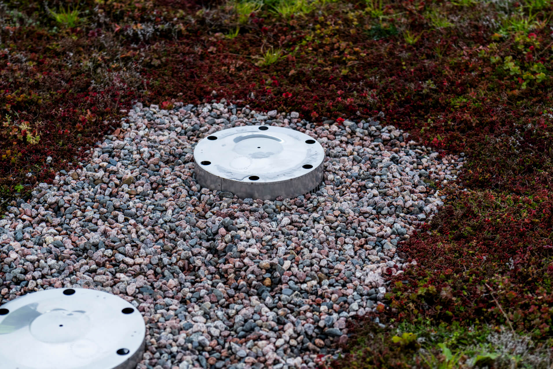 Peltitarvike kattokaivot